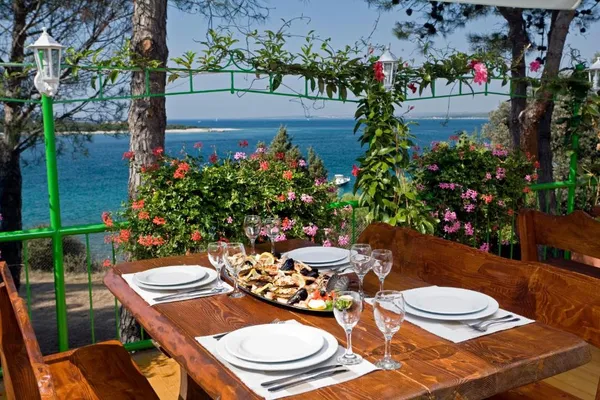 Brioni Sunny Camping