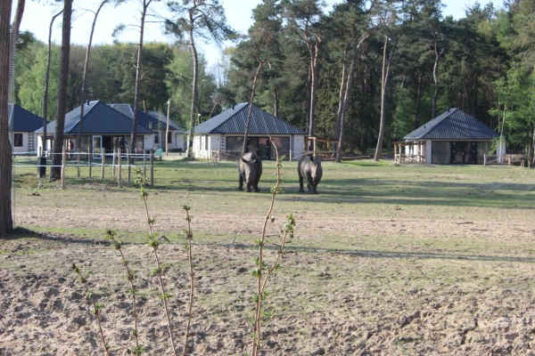 Safari Resort Beekse Bergen