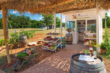 Camping Park Umag