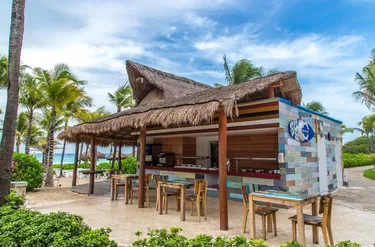 Sandos Playacar Beach Resort & Spa