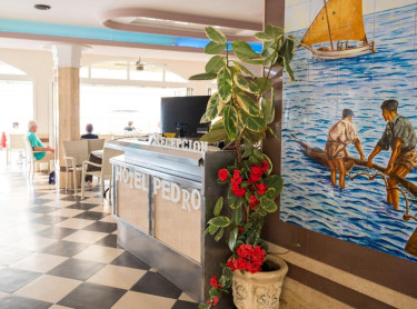 Hotel Pedro