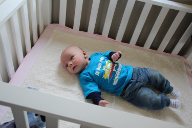 IMG_8001 (Groot).JPG