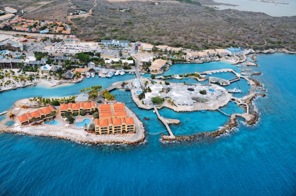 Dolphin Suites