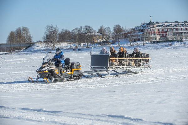 Scandinavië