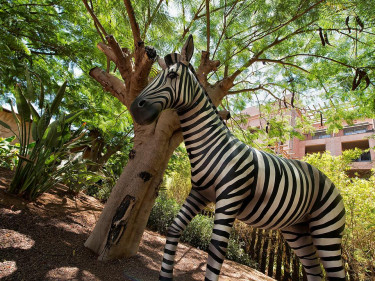 Hotel Lopesan Baobab Resort