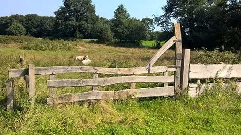 Vakantie Overijssel met kinderen