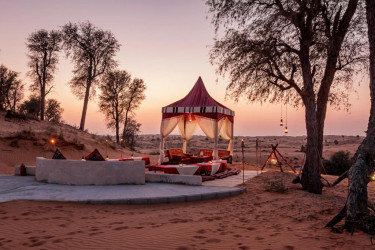 Bedouin Oasis Desert Camp