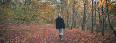 Herfstvakantie in Drenthe