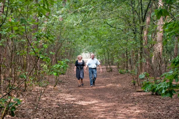 vakantiepark-bospark-de-bikkels (6).jpg