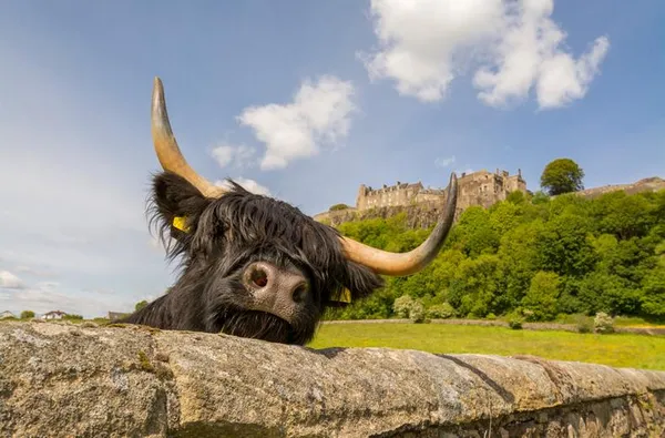 Vakantie Schotland met kinderen