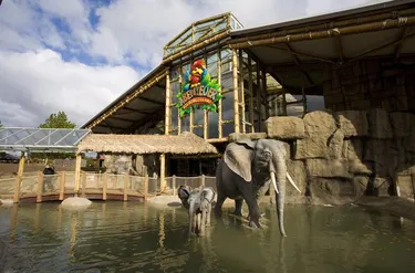 Vakantiepark Weissenhauser Strand