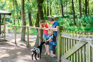 landal-rabbit-hill (4).jpg