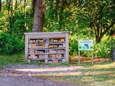 Vakantiepark Darwin Forest