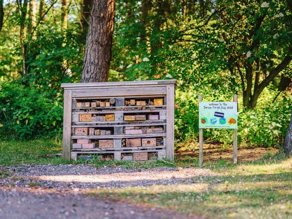 Vakantiepark Darwin Forest