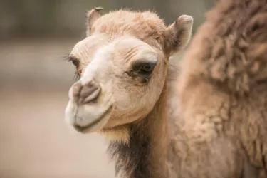 hotel-eden-club (8).jpg