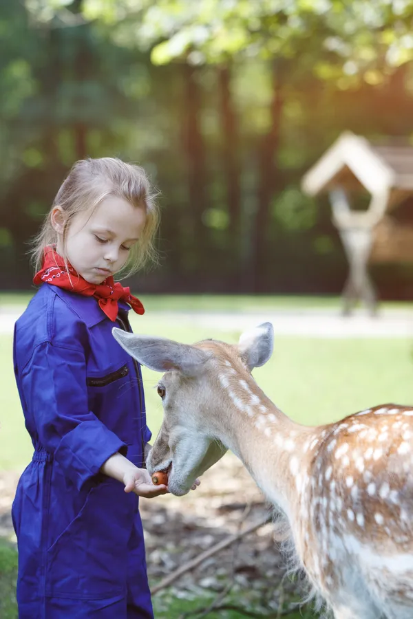 Vakantiepark Dierenbos