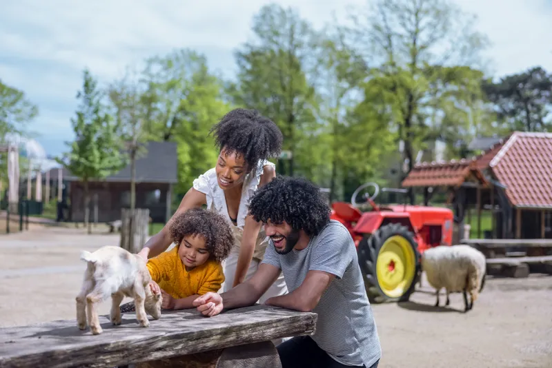 Kinderboerderij.jpg