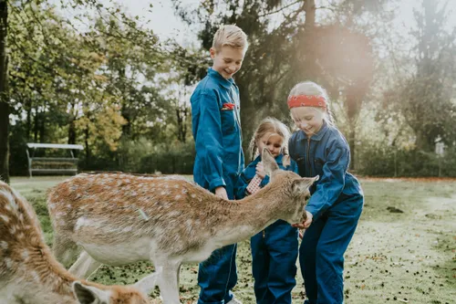 Vakantiepark Dierenbos 