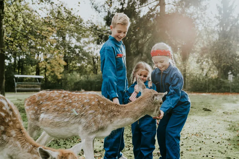 Drie lachende kinderen in blauwe overalls voeren een tam damhert uit de hand op Vakantiepark Dierenbos.