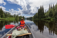 recently watched image