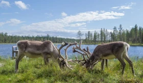 NIEUW: rondreizen in de meivakantie met Buro Scanbrit