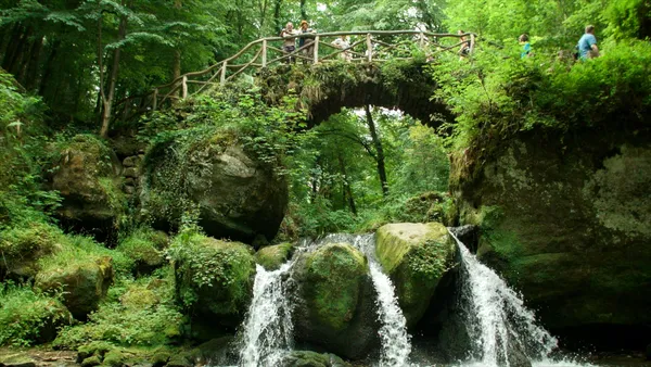 Vakantiepark La Sapinière