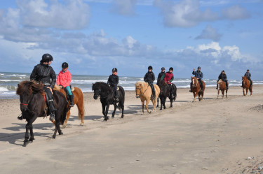 Vakantiepark Denemarken - Skallerup Seaside Resort