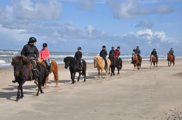 Vakantiepark Denemarken - Skallerup Seaside Resort 