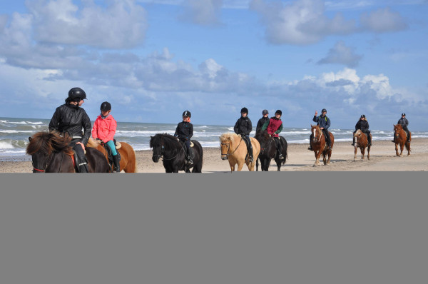 Vakantiepark Denemarken - Skallerup Seaside Resort