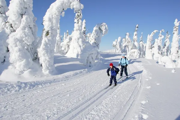 Sprookjesachtige bossen in Finland: Gezinsplezier in de sneeuw