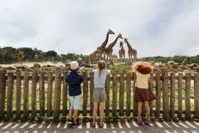 beekse-bergen-wandelsafari-safaripark.jpg