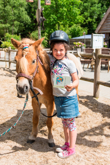 land-van-bartje (7).jpg