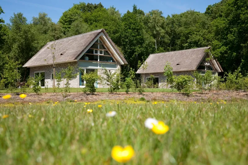 Twee luxe, rietgedekte vakantieboerderijen op Buitenplaats De Marke van Ruinen, omgeven door een bloemrijk grasveld en bos.