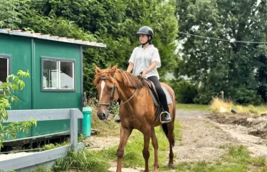 BoerenBed Ecuries de Gapennes