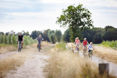 de-flaasbloem (19).jpg