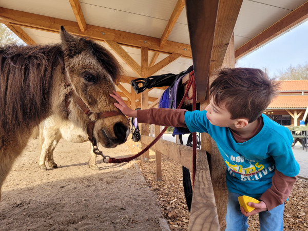 Pony vakantie