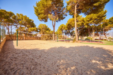 hotel-palma-bay-club-resort (15).jpg