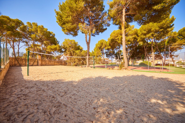 hotel-palma-bay-club-resort (15).jpg