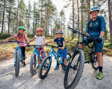 Buro Scanbrit rondreis Zweden