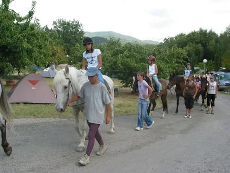 Sunêlia l'Hippocampe