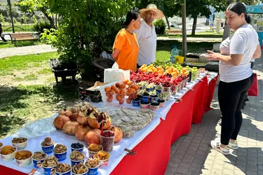 Ontwerp zonder titel - 2024-06-20T162818.972.png