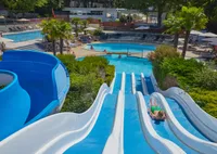 recently watched image