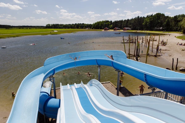 de-flaasbloem (10).jpg