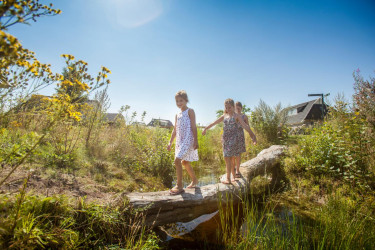 Hoofdafbeelding zomer.jpeg