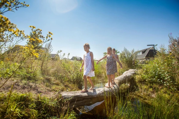 Hoofdafbeelding zomer.jpeg