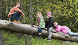 Meivakantie in Dalarna