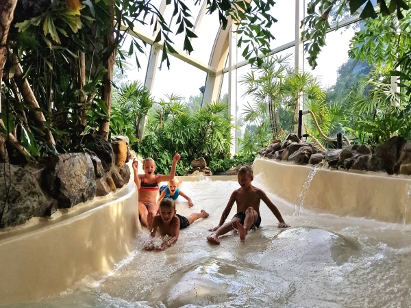 Kinderen glijden van wildwaterbaan in een subtropisch zwembad bij landal.