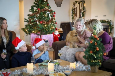 Kerstvakantie vanaf € 634 | Recreatiepark de Boshoek