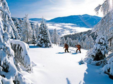 Vakantiepark Landal Bad Kleinkirchheim