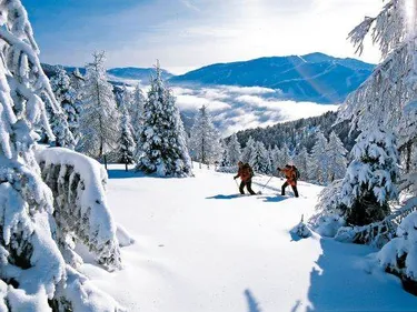 Vakantiepark Landal Bad Kleinkirchheim